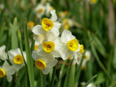 清水寺(せいすいじ)③