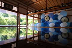 床もみじ③