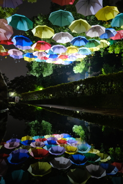 雨上がり3