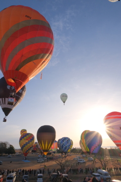 渡良瀬バルーンレース①