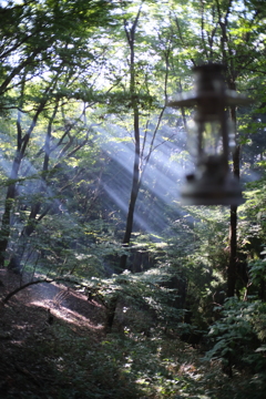 キャンプ場の朝