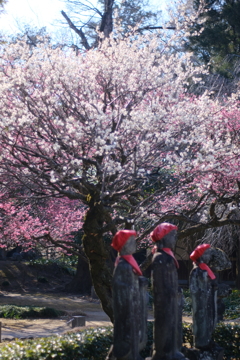 今年も