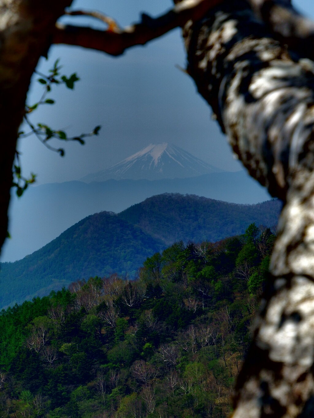 富士山