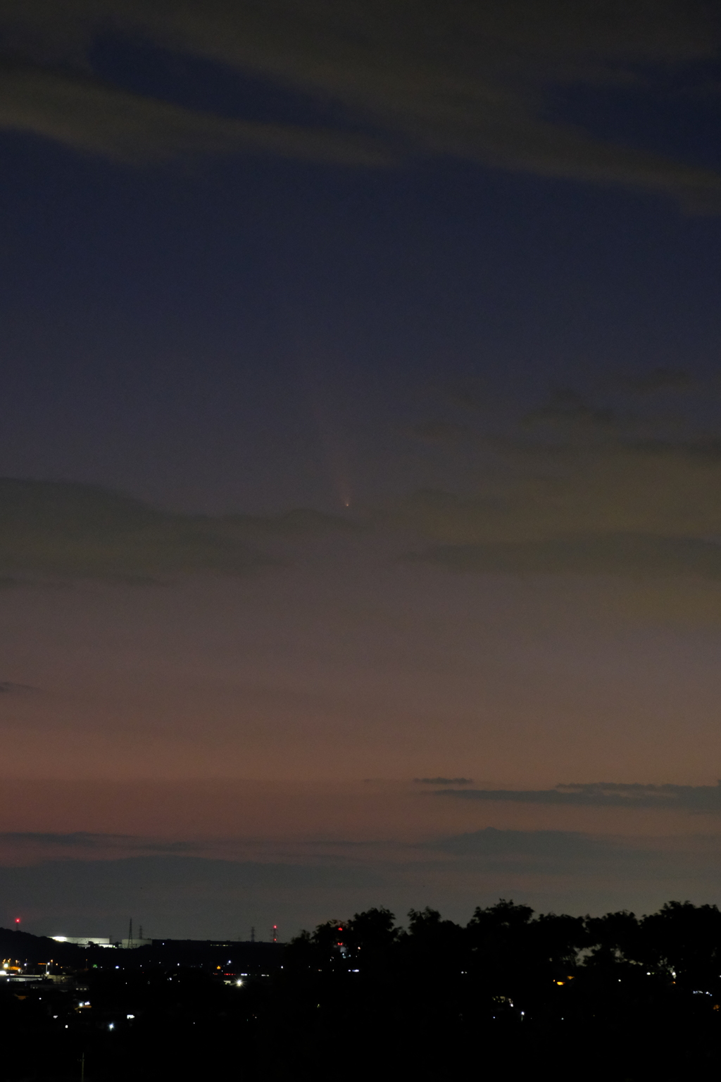 紫金山・アトラス彗星