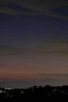 紫金山・アトラス彗星