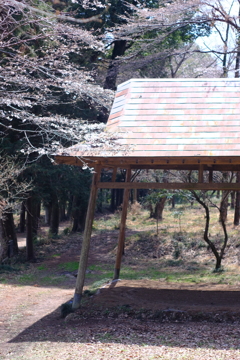 土俵