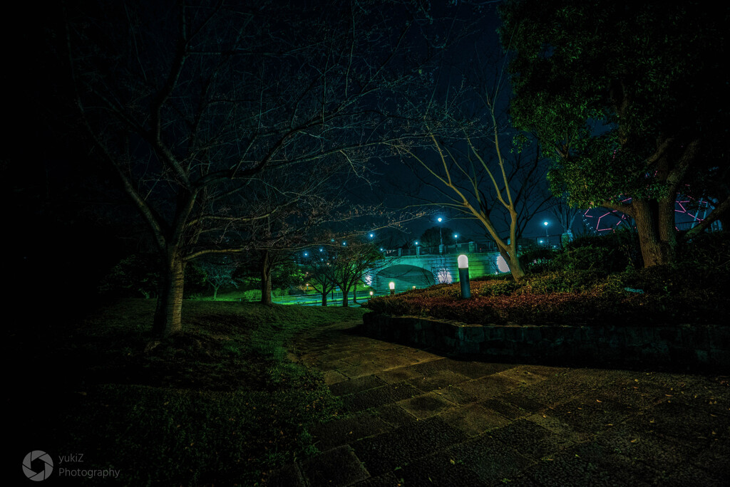 夜の架け橋