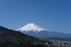 富士山