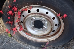 8DC688EF-4198-40C6-A9C5-184BB239D4EA