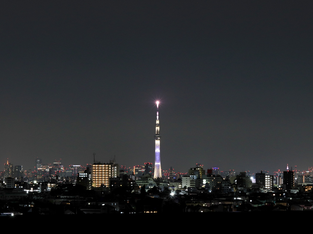 空の木