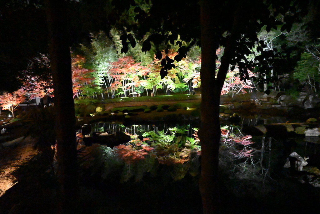 水面に写る紅葉