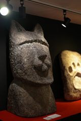猫猫寺6