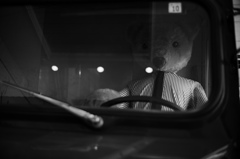 クマとドライブ