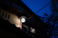 祇園白川の夜