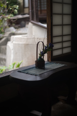 庭を眺めて