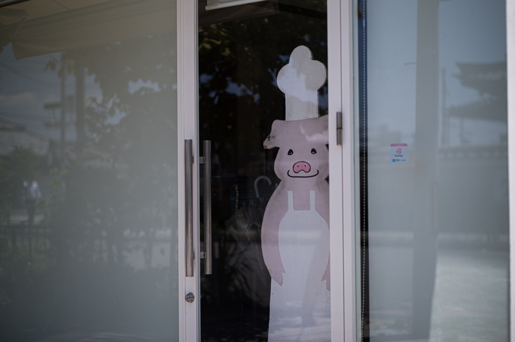 ひょっこり豚