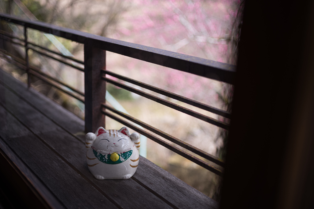春の招き猫