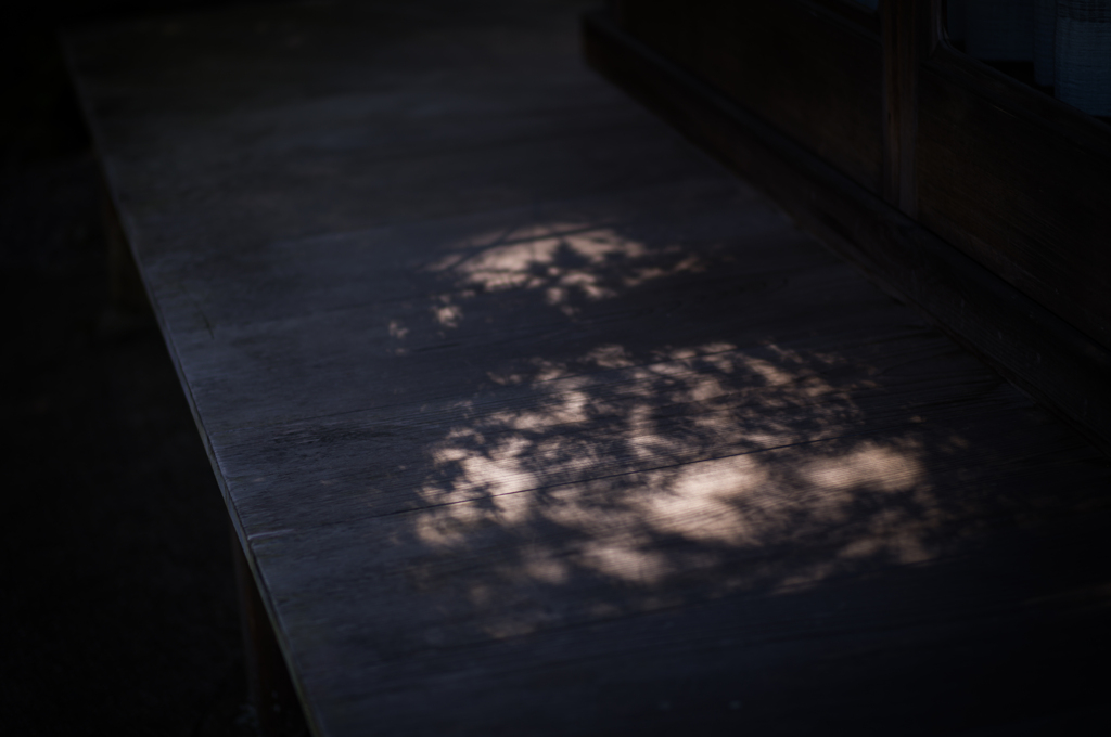 奈良吉城園　21