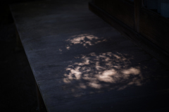 奈良吉城園　21