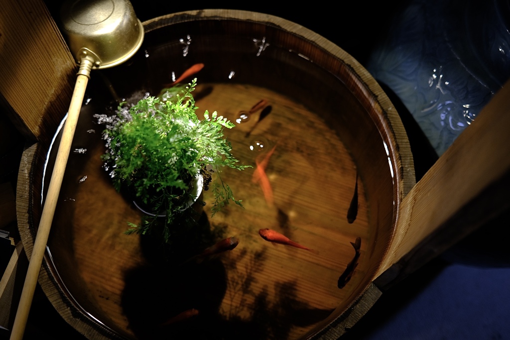 ゆらめく金魚