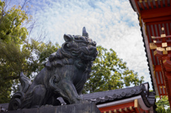 八坂の狛犬