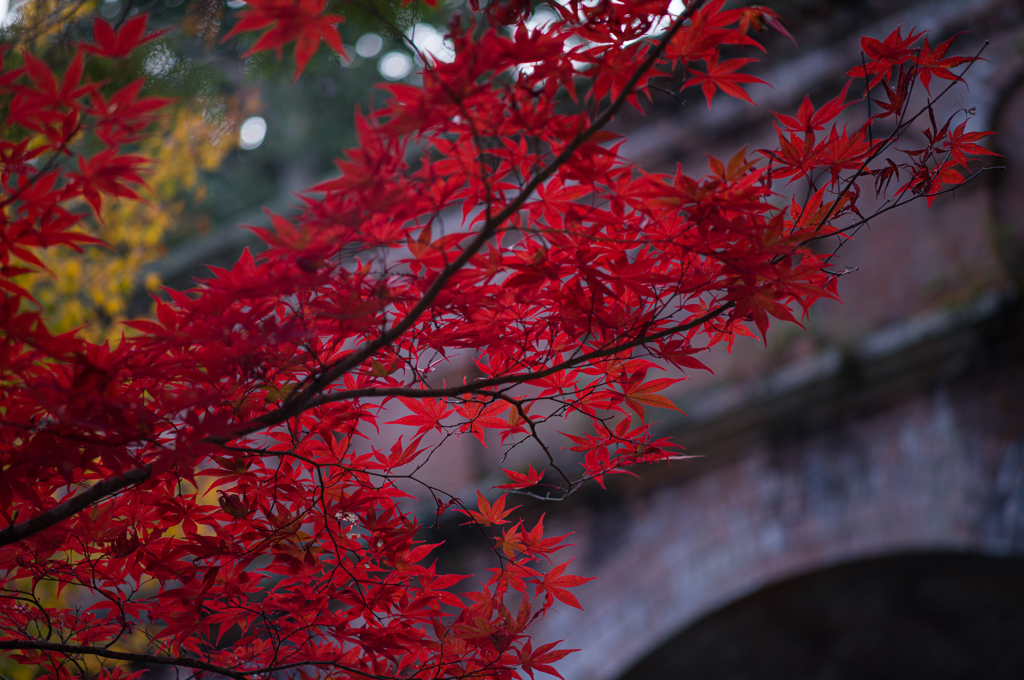 京都南禅寺　紅葉6