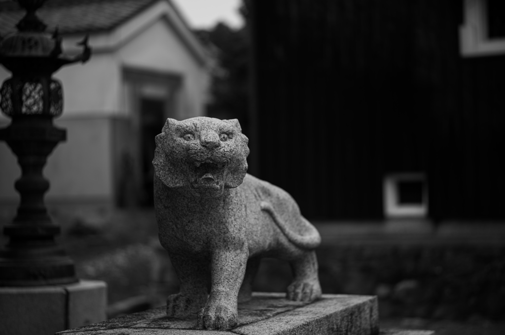 石虎