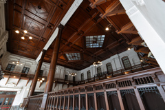 レンズ試し撮り