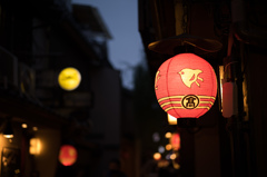 夜の千鳥
