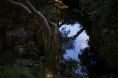 奈良吉城園　8
