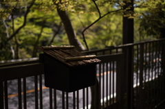 木陰にひっそりと