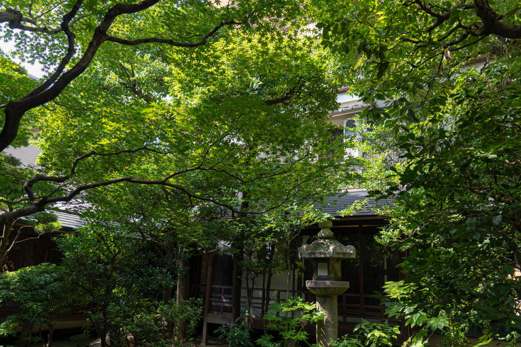 京都八竹庵　中庭2