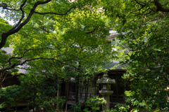 京都八竹庵　中庭2
