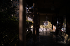 京都妙心寺　退蔵院　29