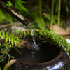 水と苔