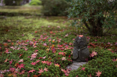圓光寺　紅葉　7