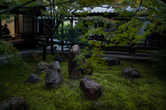 京都建仁寺　6