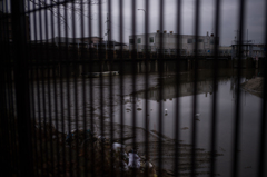 雨のち散歩　14