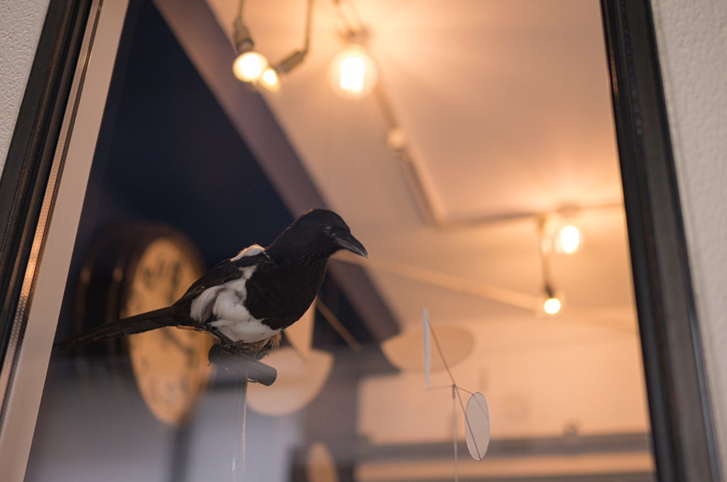 窓辺の烏