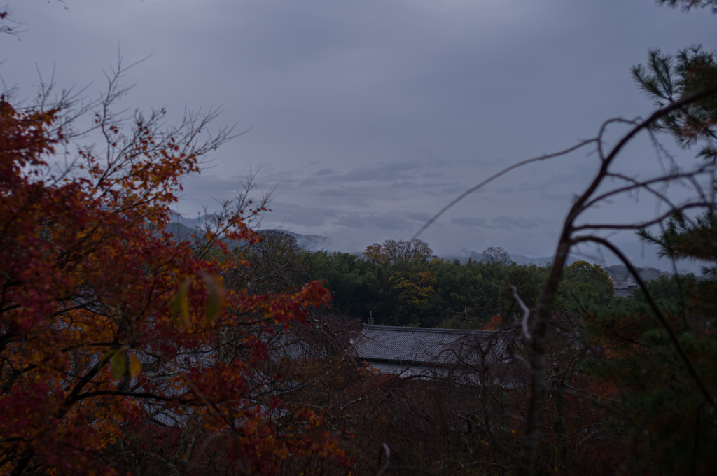 京都天龍寺　霧雲
