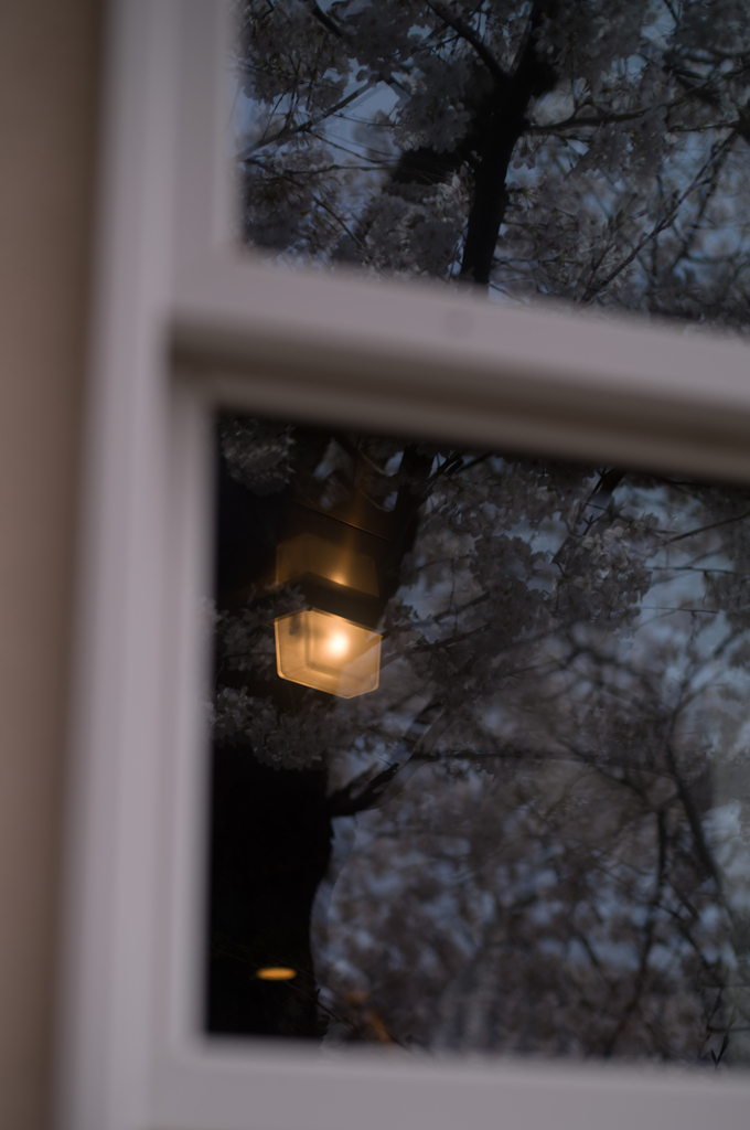 窓からの風景。光と影と。