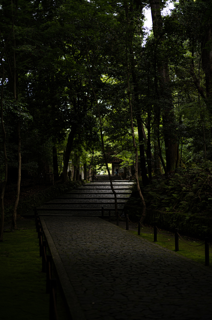 法然院　16
