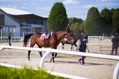 鶴見緑地公園　13