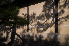 京都妙心寺　散策7