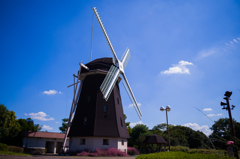 鶴見緑地公園　8