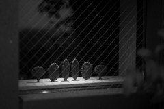 個展開催