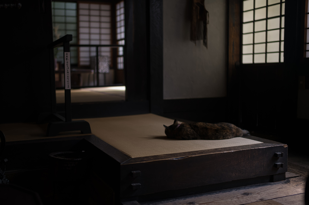 河井寬次郎記念館　留守番猫2
