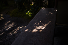 京都妙心寺　退蔵院　22