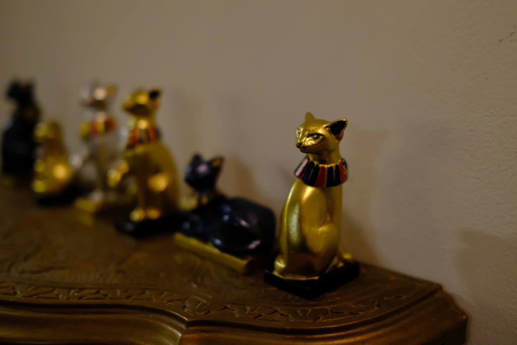 ツタンニャーメン展　8