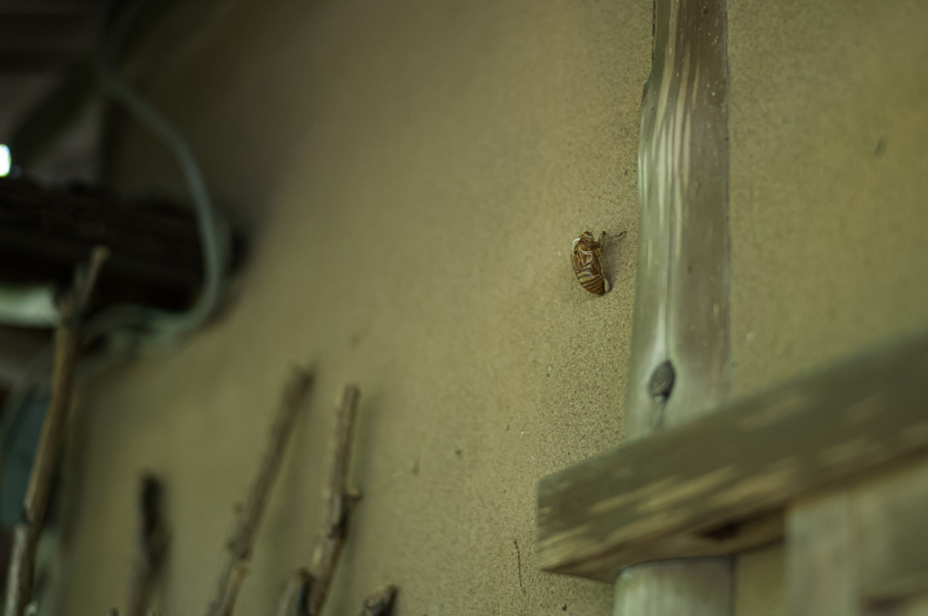 白沙村荘・橋本関雪記念館　2